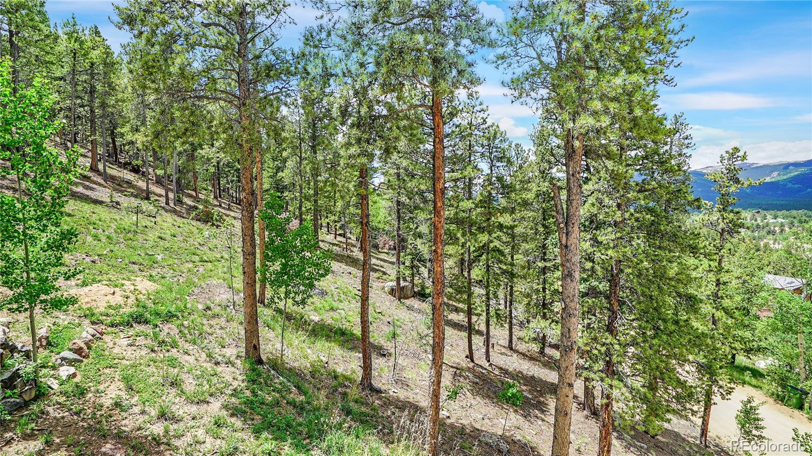 MLS Image #6 for 368  lakeview road,bailey, Colorado