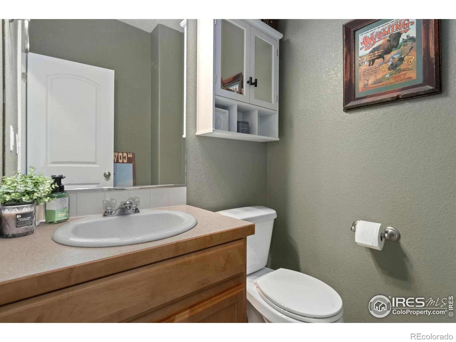 MLS Image #35 for 2309  thoreau drive,fort collins, Colorado