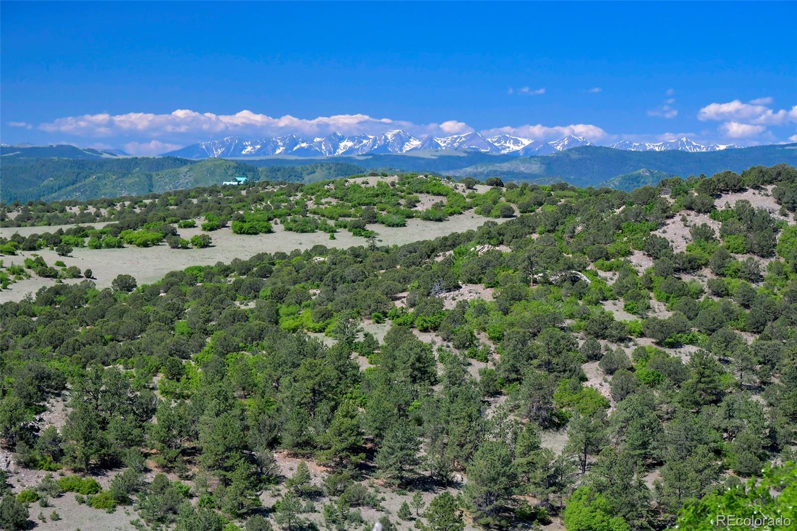 MLS Image #2 for 1250  achy back lane,canon city, Colorado