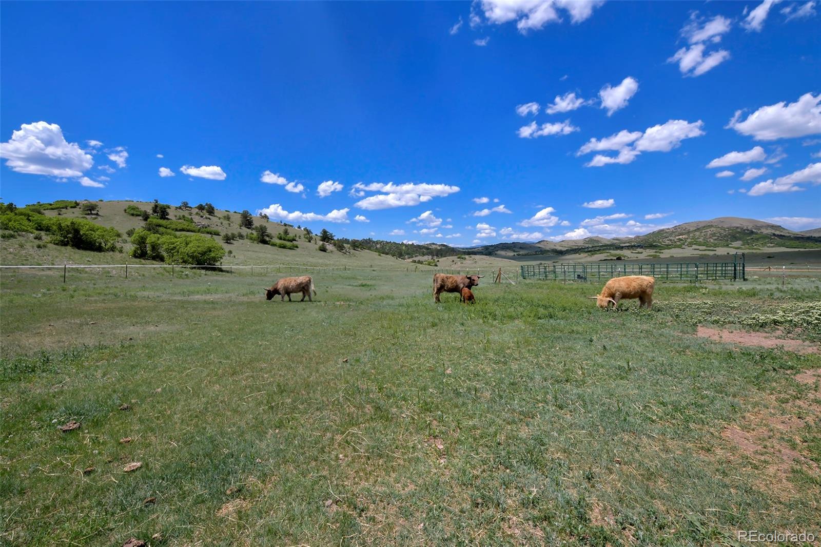 MLS Image #33 for 1250  achy back lane,canon city, Colorado