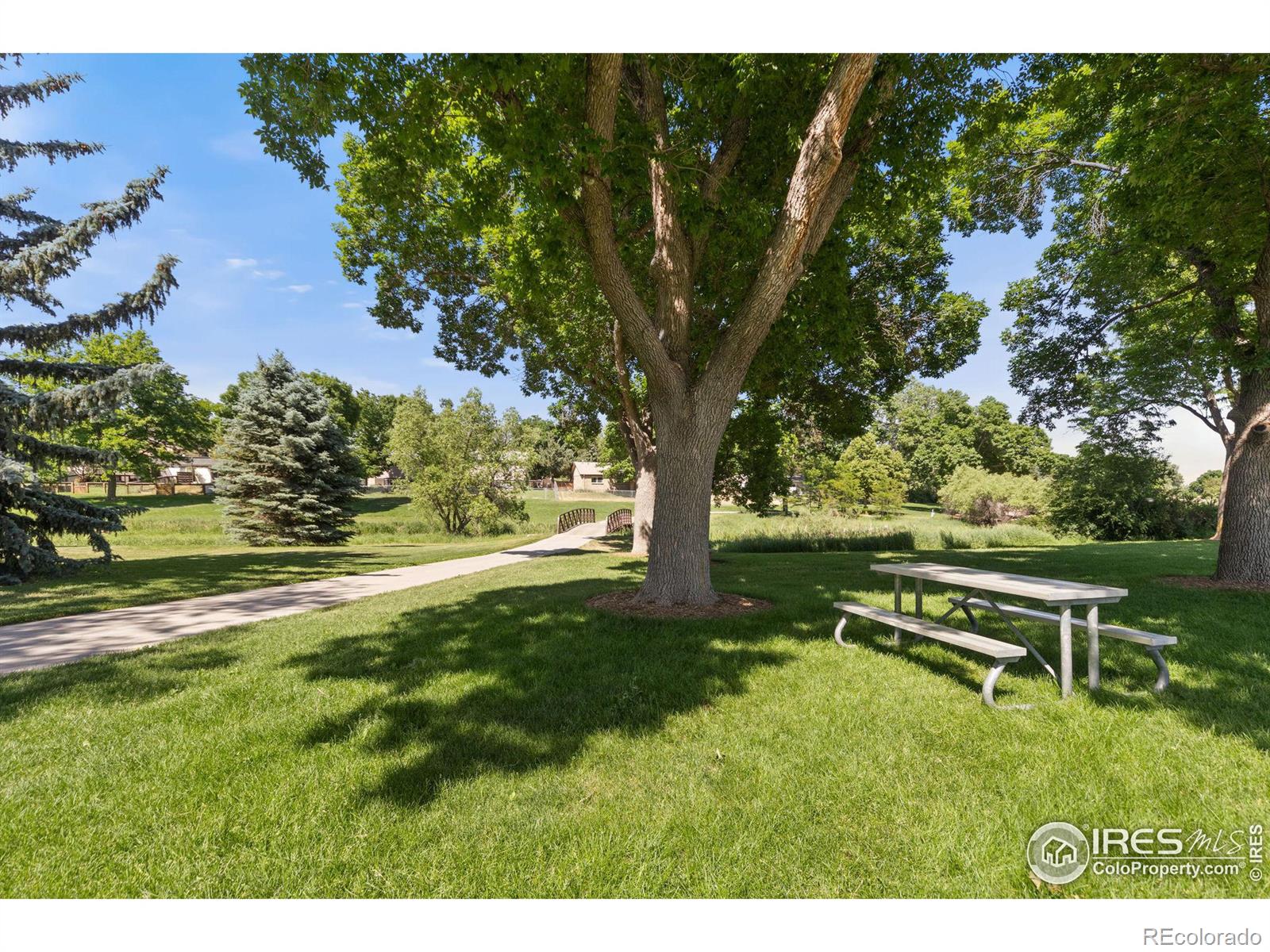 MLS Image #16 for 1519  rolf court,fort collins, Colorado