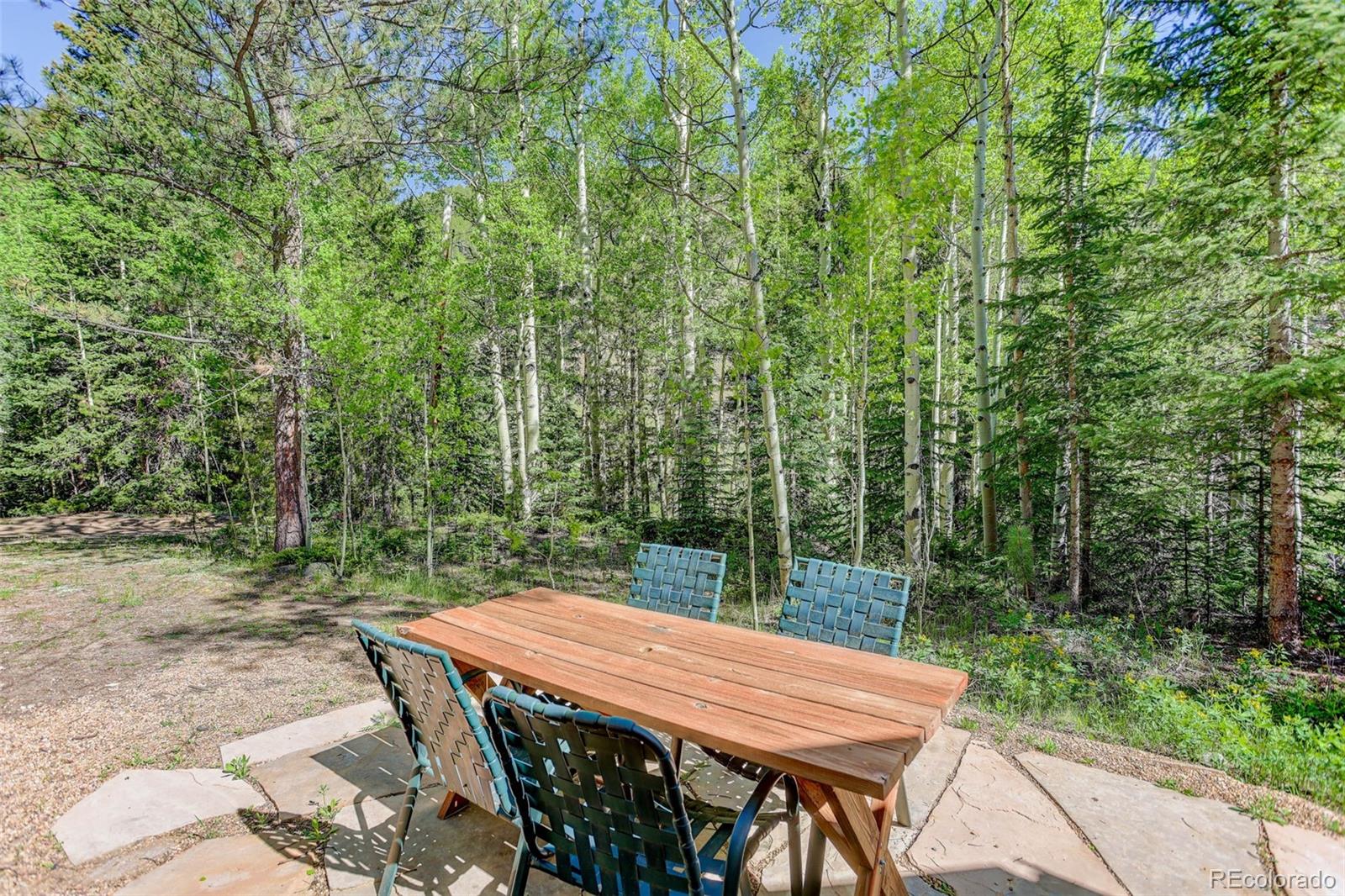 CMA Image for 103  Forest Haven Lane,Idaho Springs, Colorado