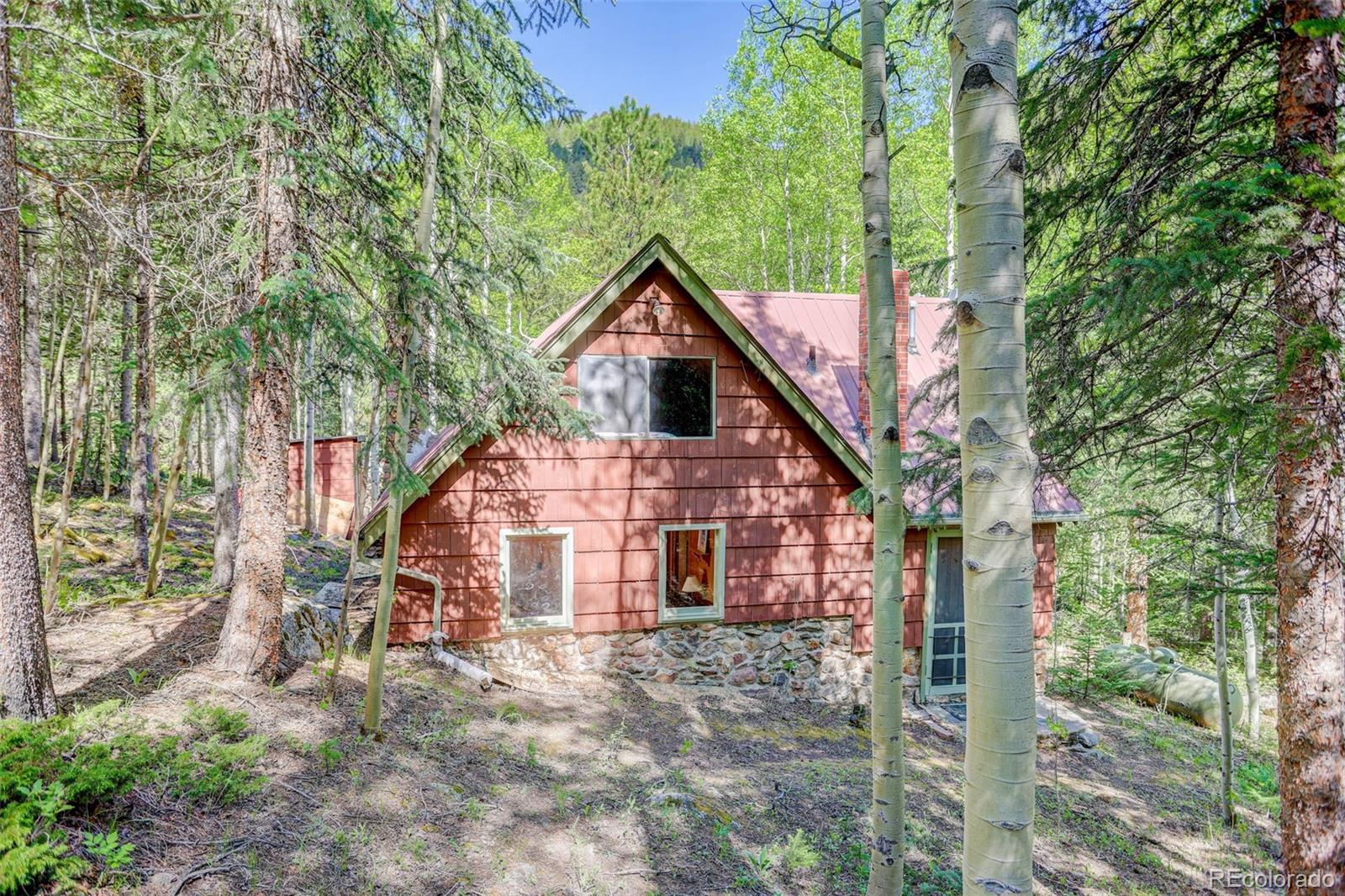 MLS Image #16 for 103  forest haven lane,idaho springs, Colorado