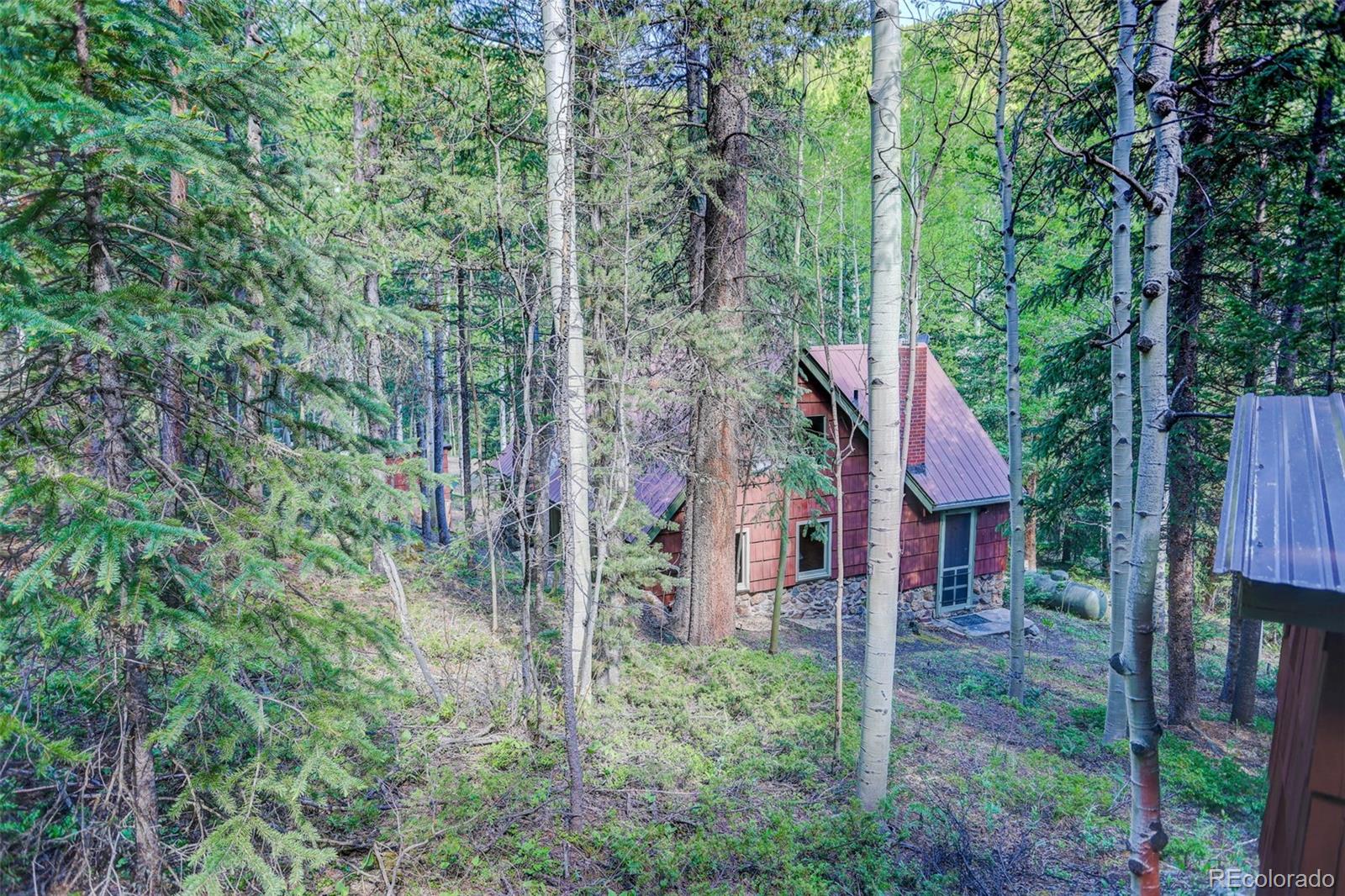 MLS Image #17 for 103  forest haven lane,idaho springs, Colorado