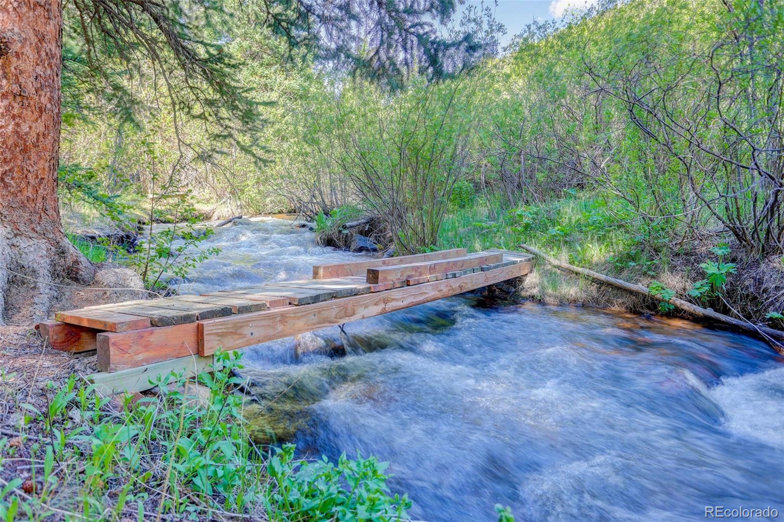 MLS Image #19 for 103  forest haven lane,idaho springs, Colorado