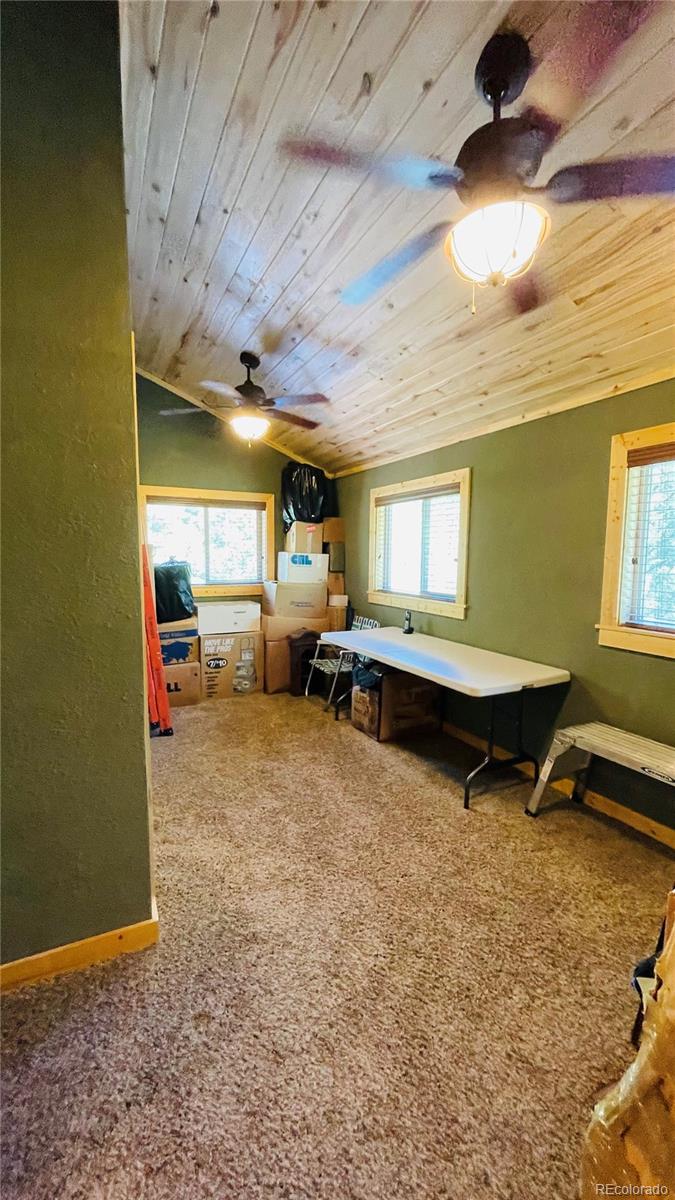 MLS Image #15 for 1306  clarke mountain lane,antonito, Colorado