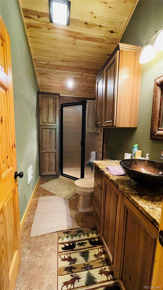 MLS Image #16 for 1306  clarke mountain lane,antonito, Colorado