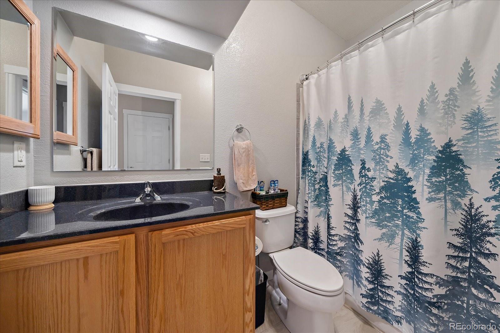 MLS Image #15 for 29652  spruce road,evergreen, Colorado