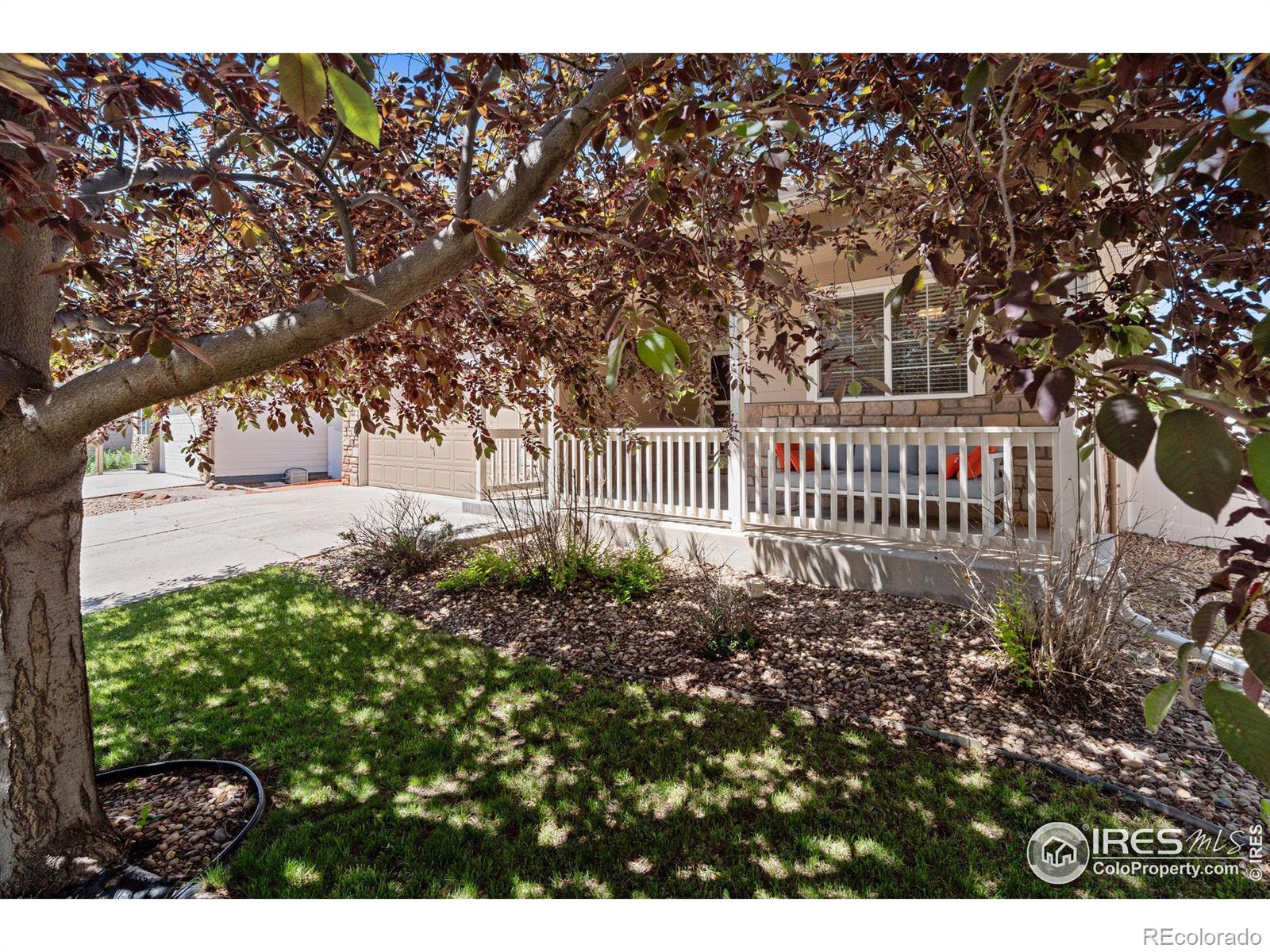 MLS Image #2 for 2639  thoreau drive,fort collins, Colorado