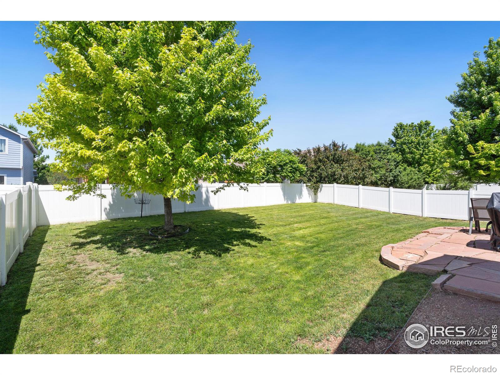 MLS Image #30 for 2639  thoreau drive,fort collins, Colorado