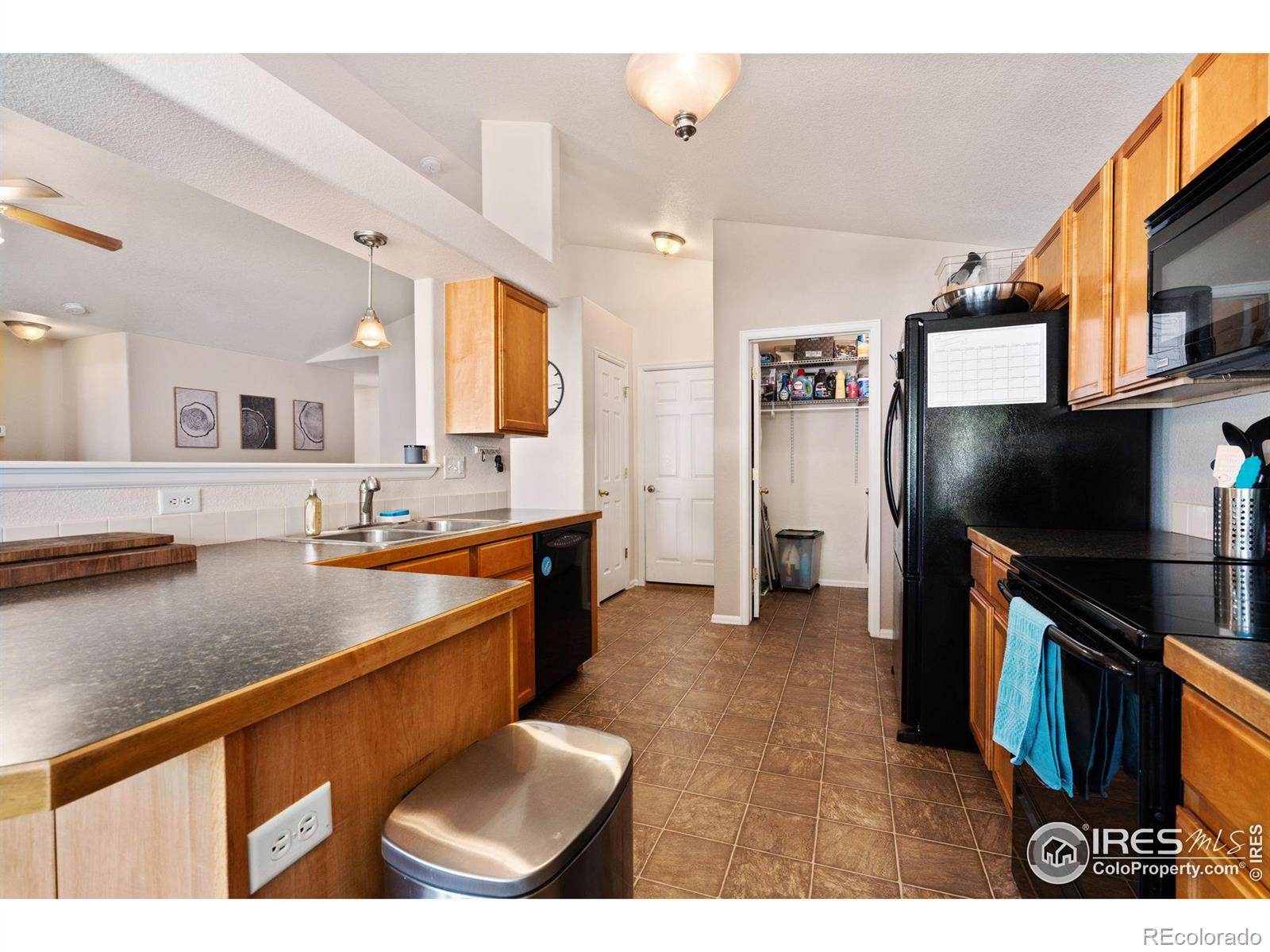 MLS Image #8 for 2639  thoreau drive,fort collins, Colorado