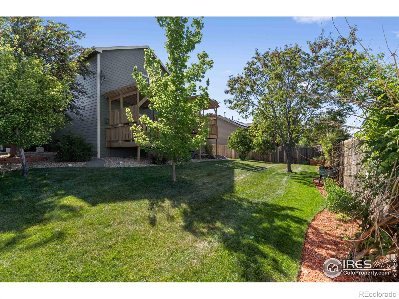 MLS Image #4 for 309  windflower way,severance, Colorado