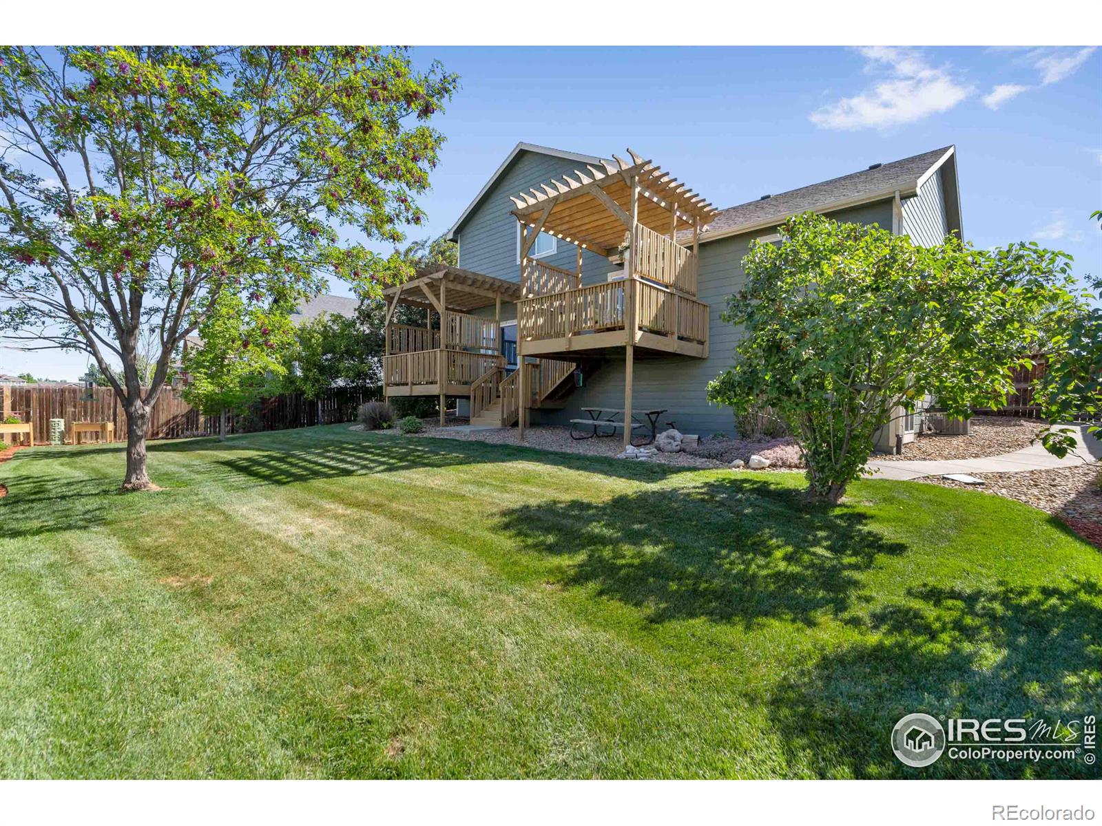 MLS Image #6 for 309  windflower way,severance, Colorado