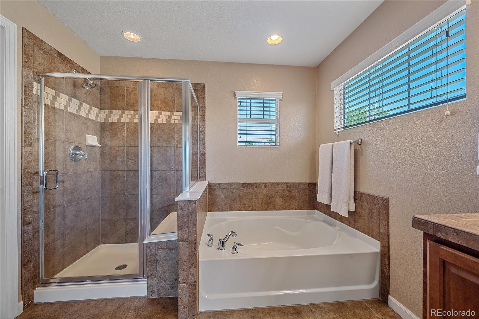 MLS Image #18 for 3132  promontory loop,broomfield, Colorado