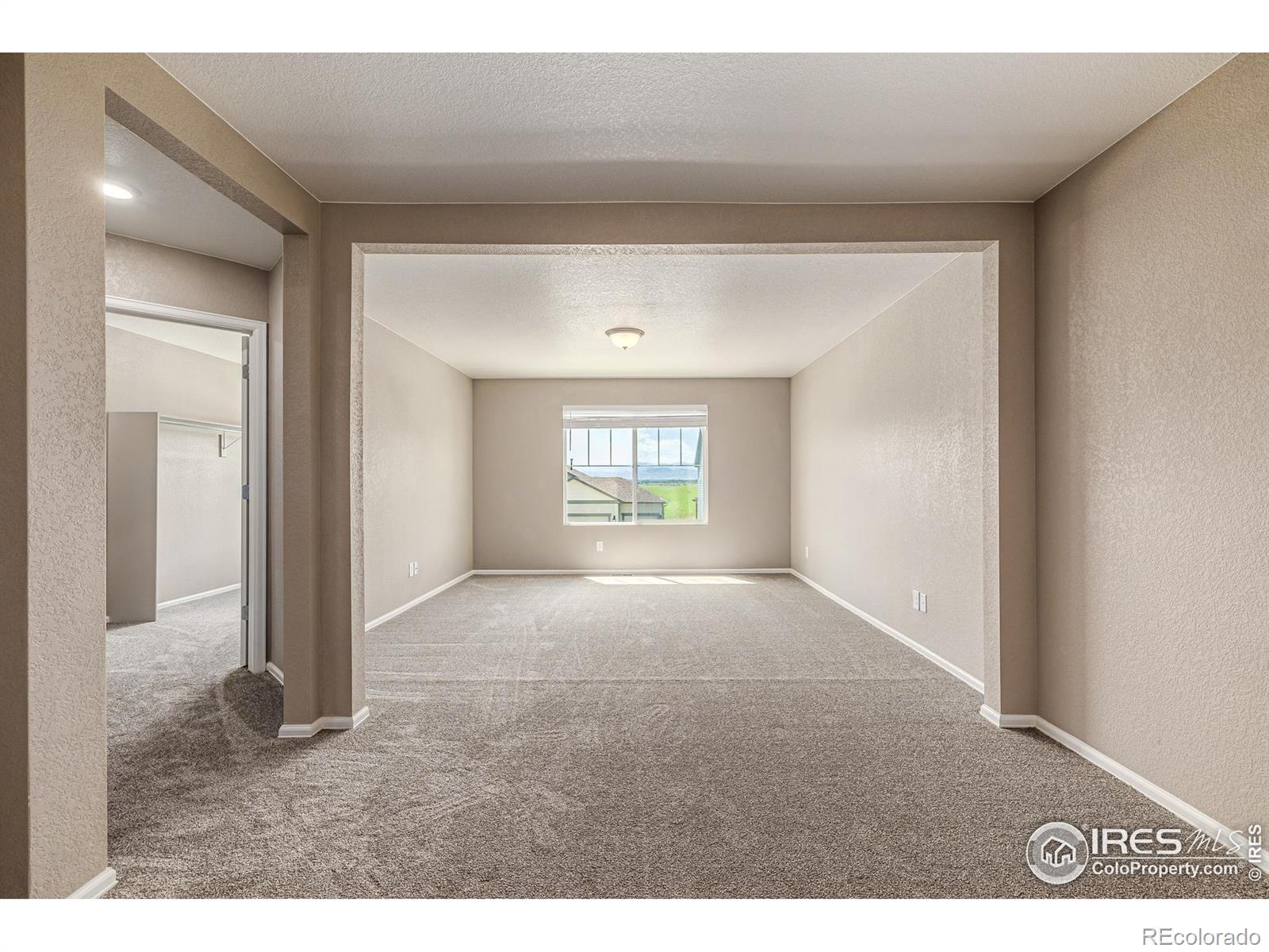 MLS Image #13 for 913  camberly drive,windsor, Colorado