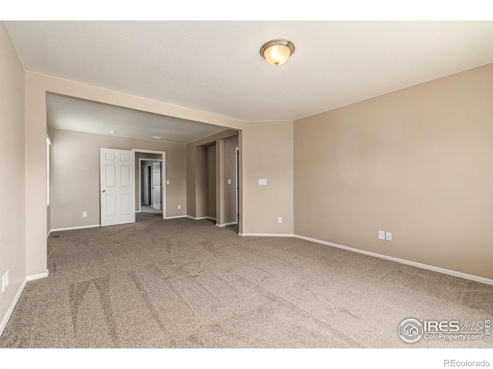 MLS Image #14 for 913  camberly drive,windsor, Colorado