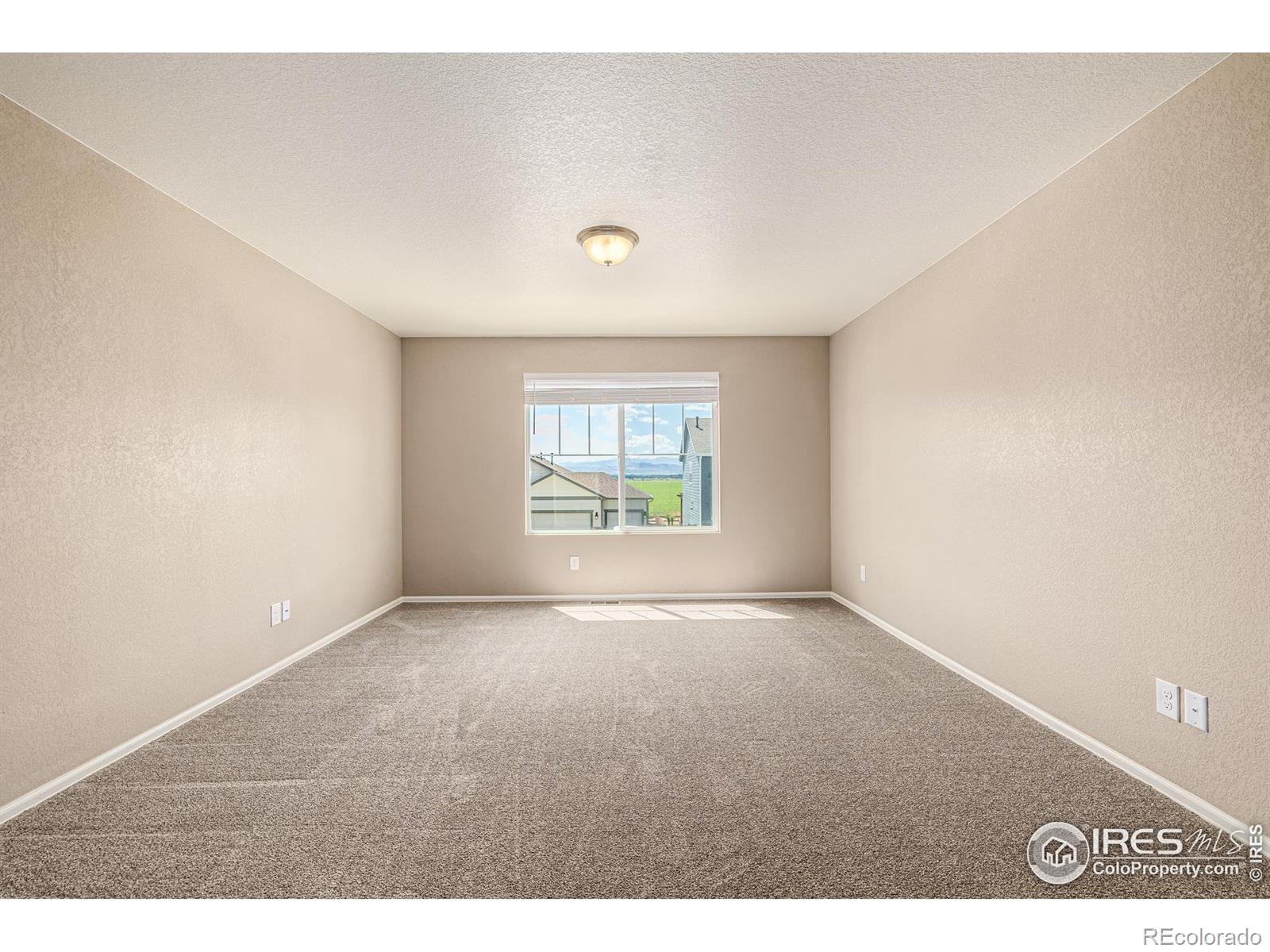 MLS Image #16 for 913  camberly drive,windsor, Colorado