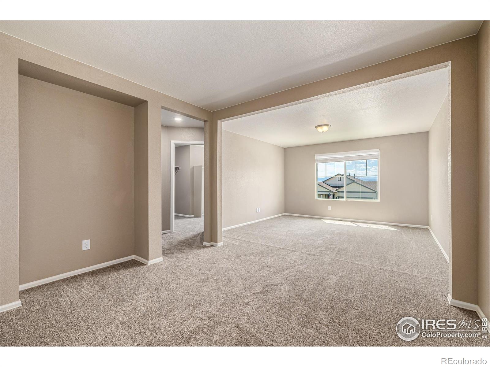 MLS Image #19 for 913  camberly drive,windsor, Colorado