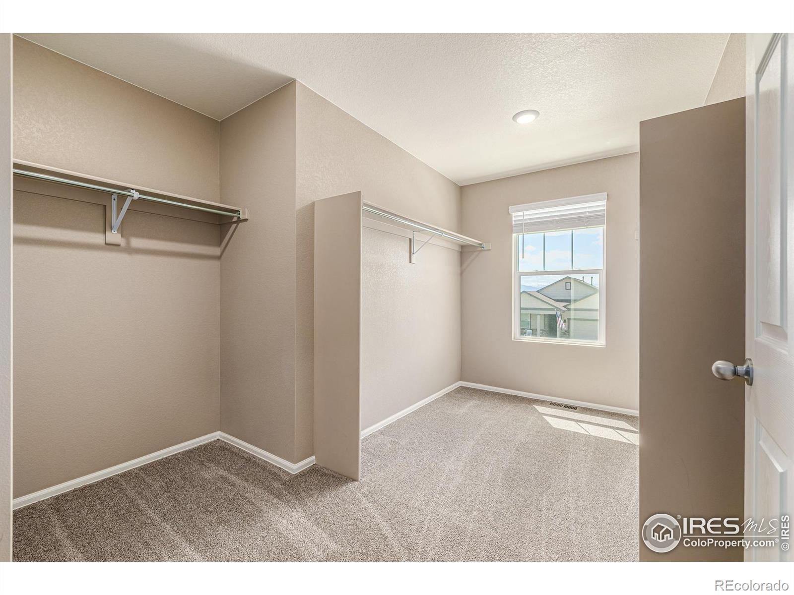 MLS Image #23 for 913  camberly drive,windsor, Colorado