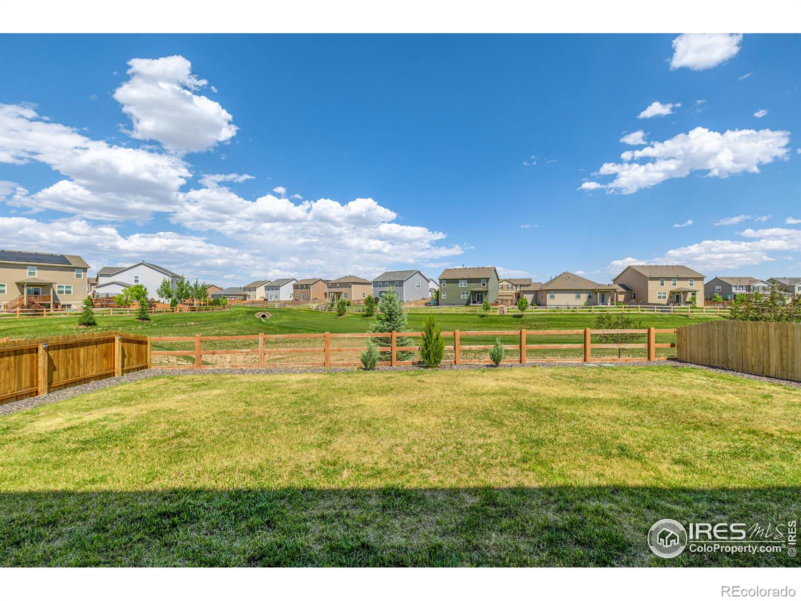 MLS Image #30 for 913  camberly drive,windsor, Colorado