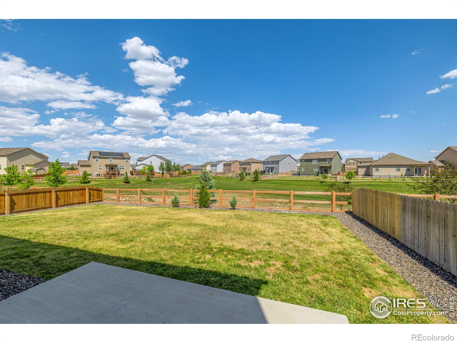 MLS Image #31 for 913  camberly drive,windsor, Colorado