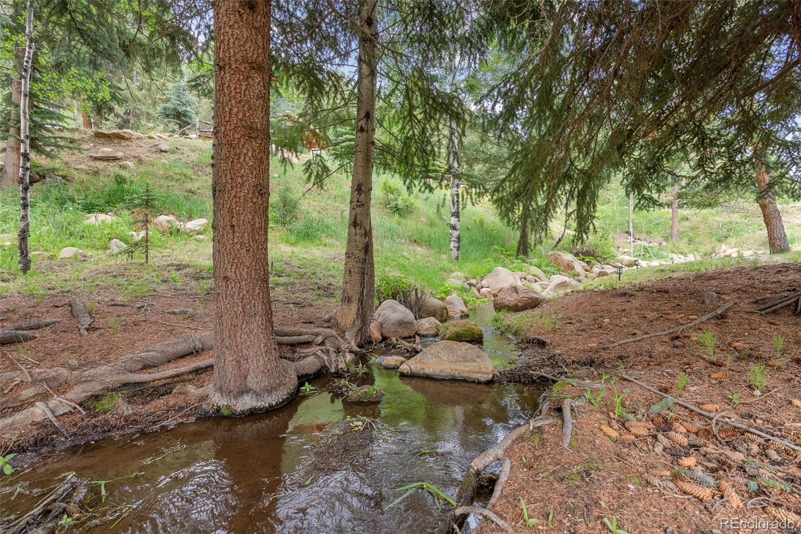 MLS Image #10 for 312  brookside drive,bailey, Colorado