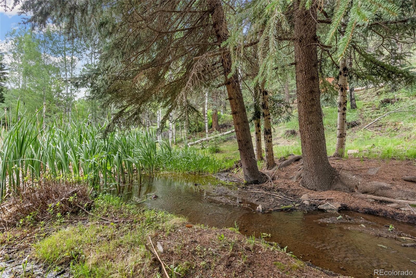 MLS Image #36 for 312  brookside drive,bailey, Colorado