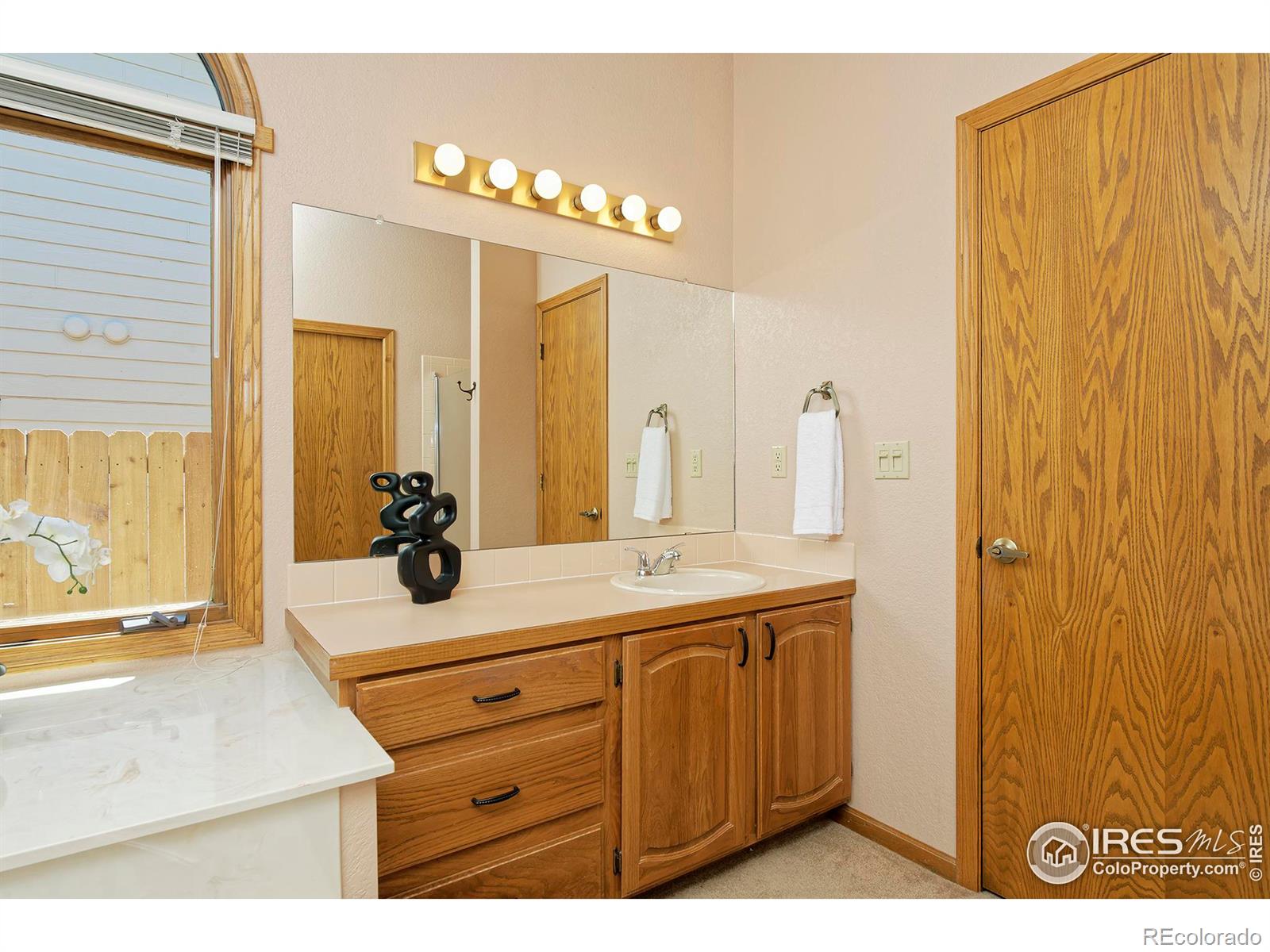 MLS Image #15 for 2839  garrett drive,fort collins, Colorado