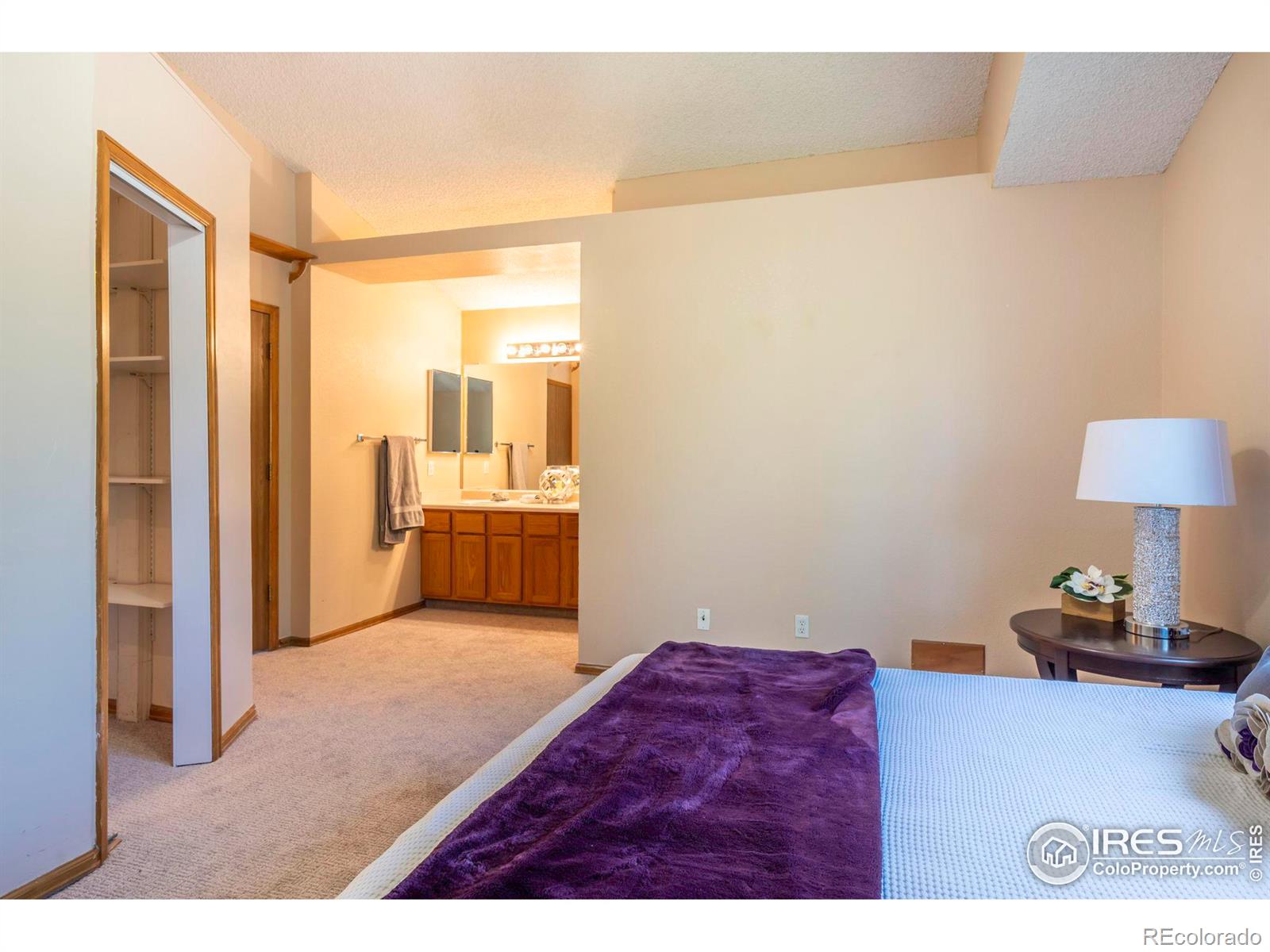 MLS Image #19 for 4168  fern avenue,broomfield, Colorado