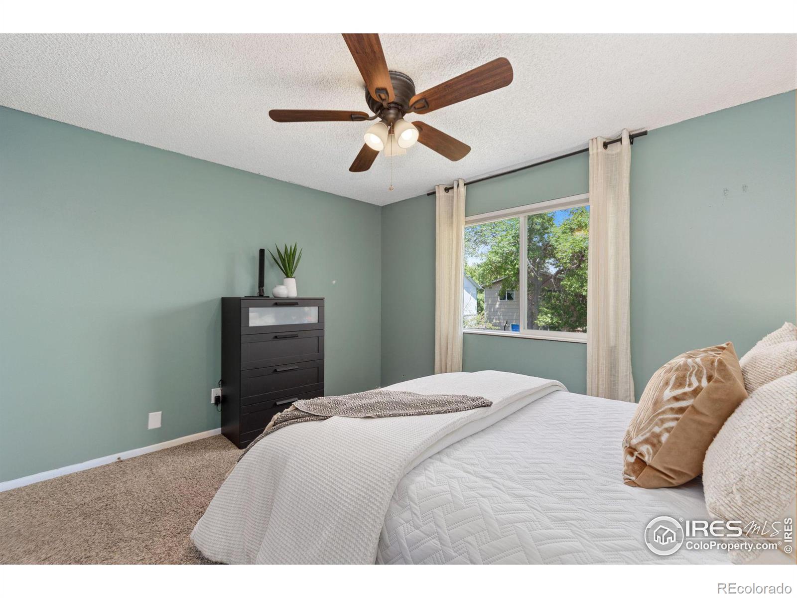 MLS Image #16 for 2616  darren street,fort collins, Colorado