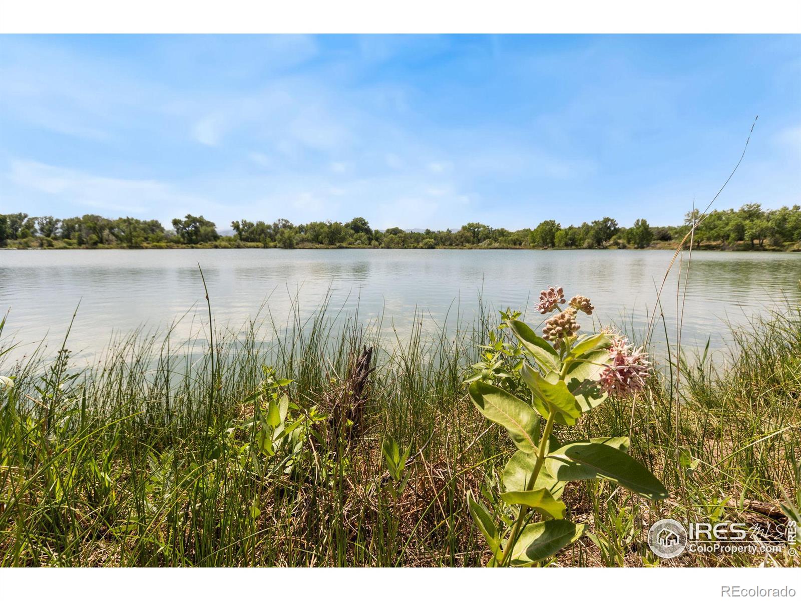 MLS Image #30 for 2616  darren street,fort collins, Colorado