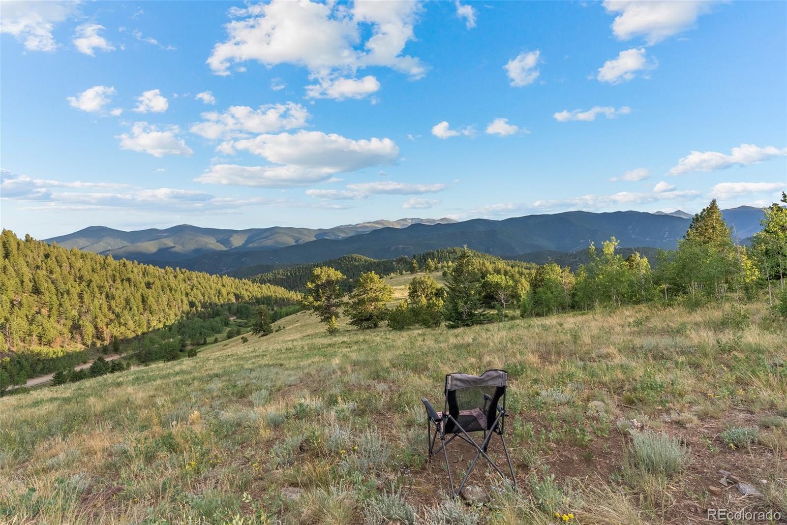 MLS Image #10 for 2505  york gulch road,idaho springs, Colorado