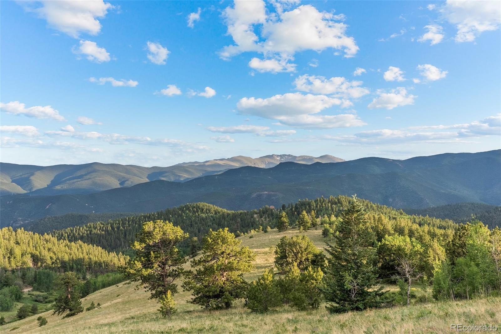 MLS Image #3 for 2505  york gulch road,idaho springs, Colorado