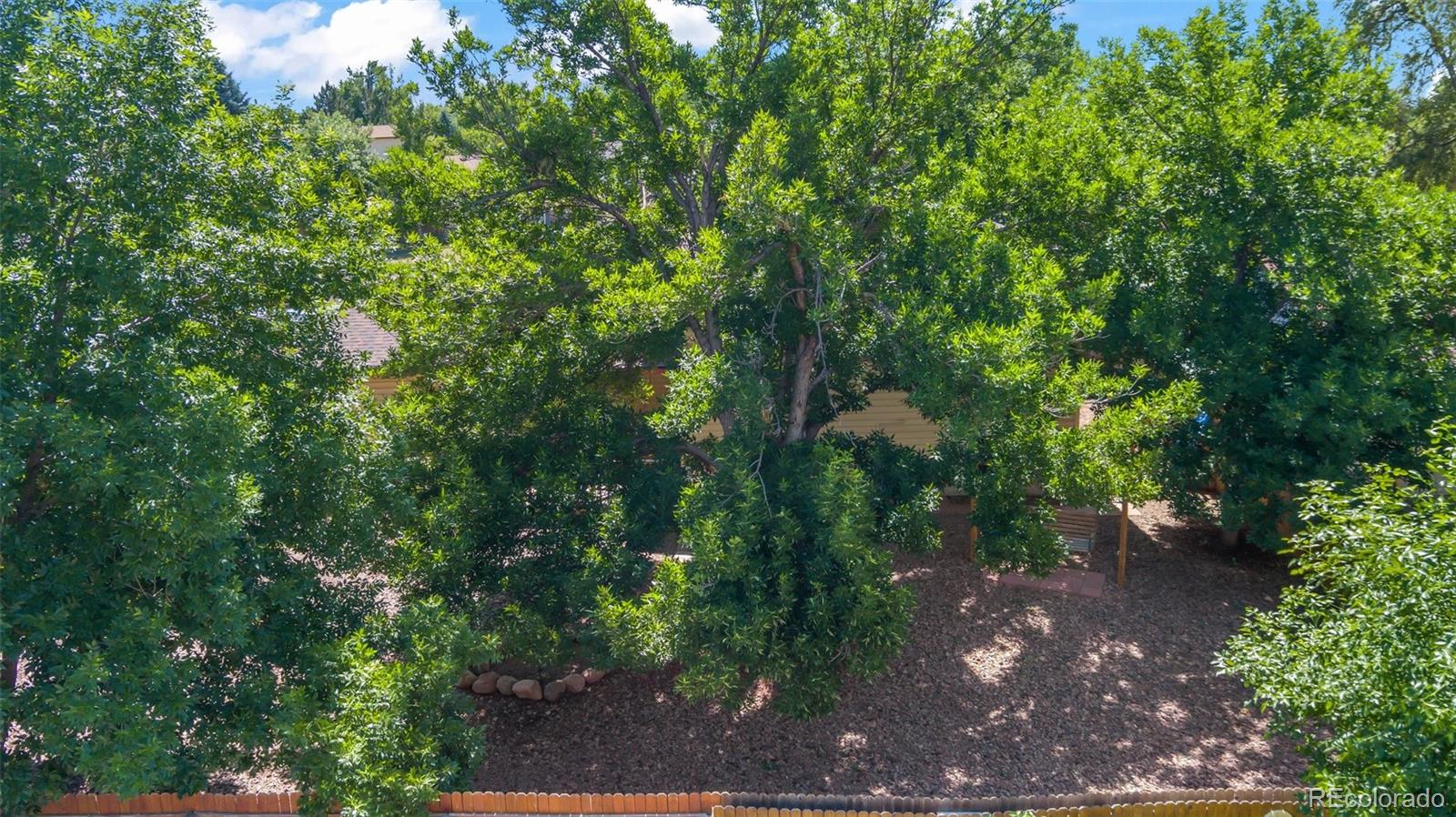 MLS Image #25 for 7250  woodstock street,colorado springs, Colorado