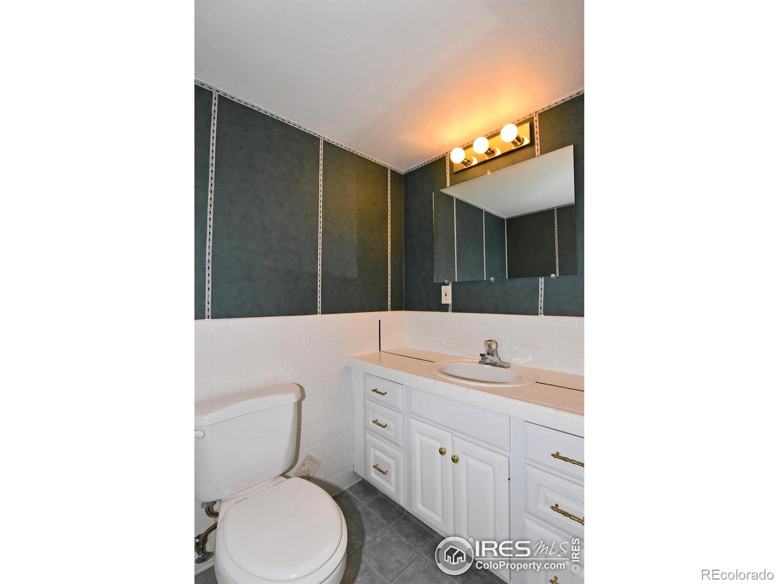 MLS Image #26 for 2842  mckeag drive,fort collins, Colorado