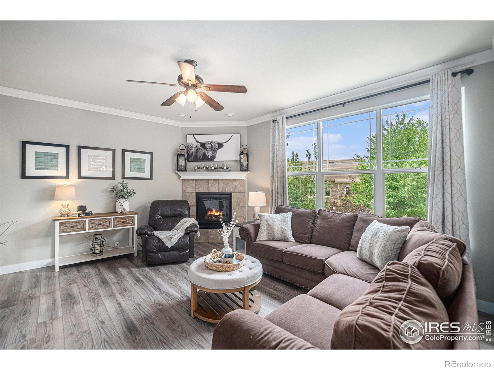 MLS Image #10 for 16585  edwards way,broomfield, Colorado