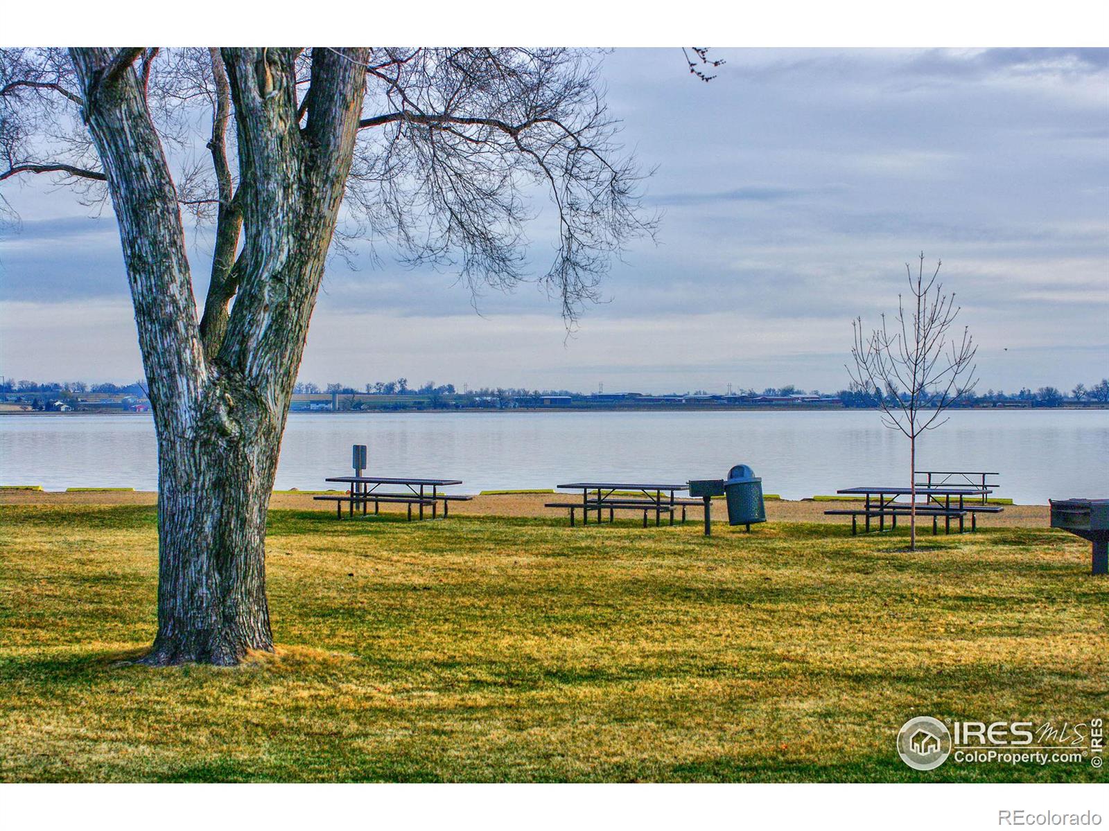 MLS Image #38 for 700  windflower drive,longmont, Colorado