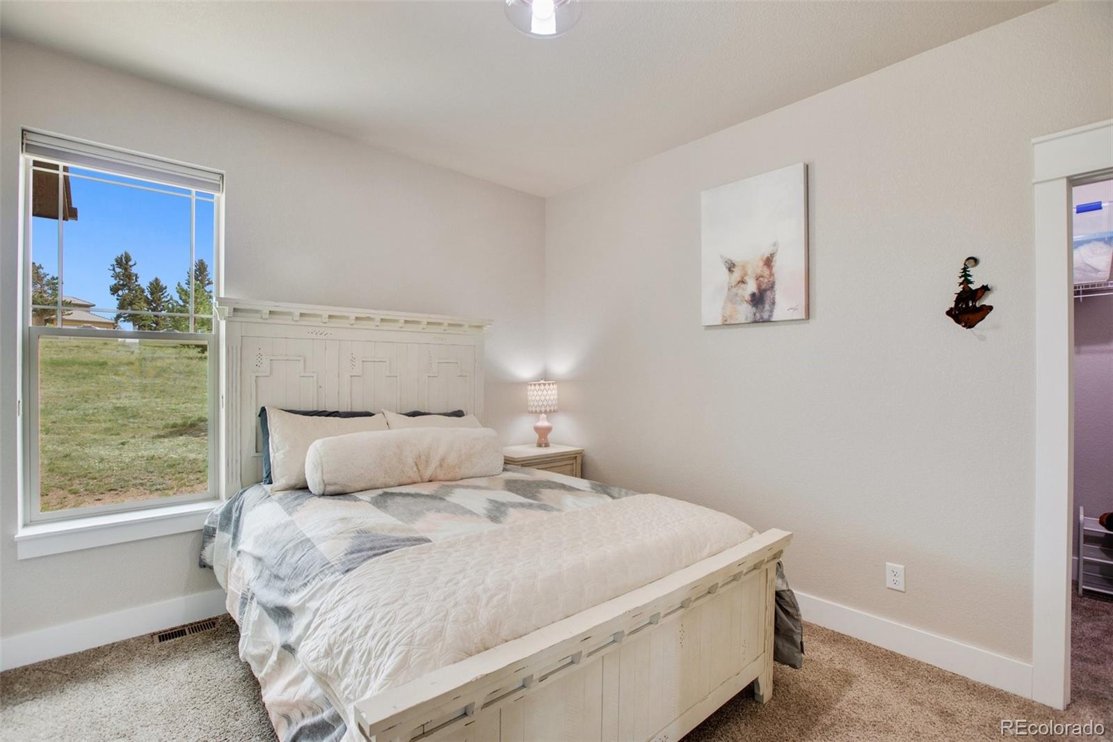 MLS Image #18 for 107  samantha way,divide, Colorado