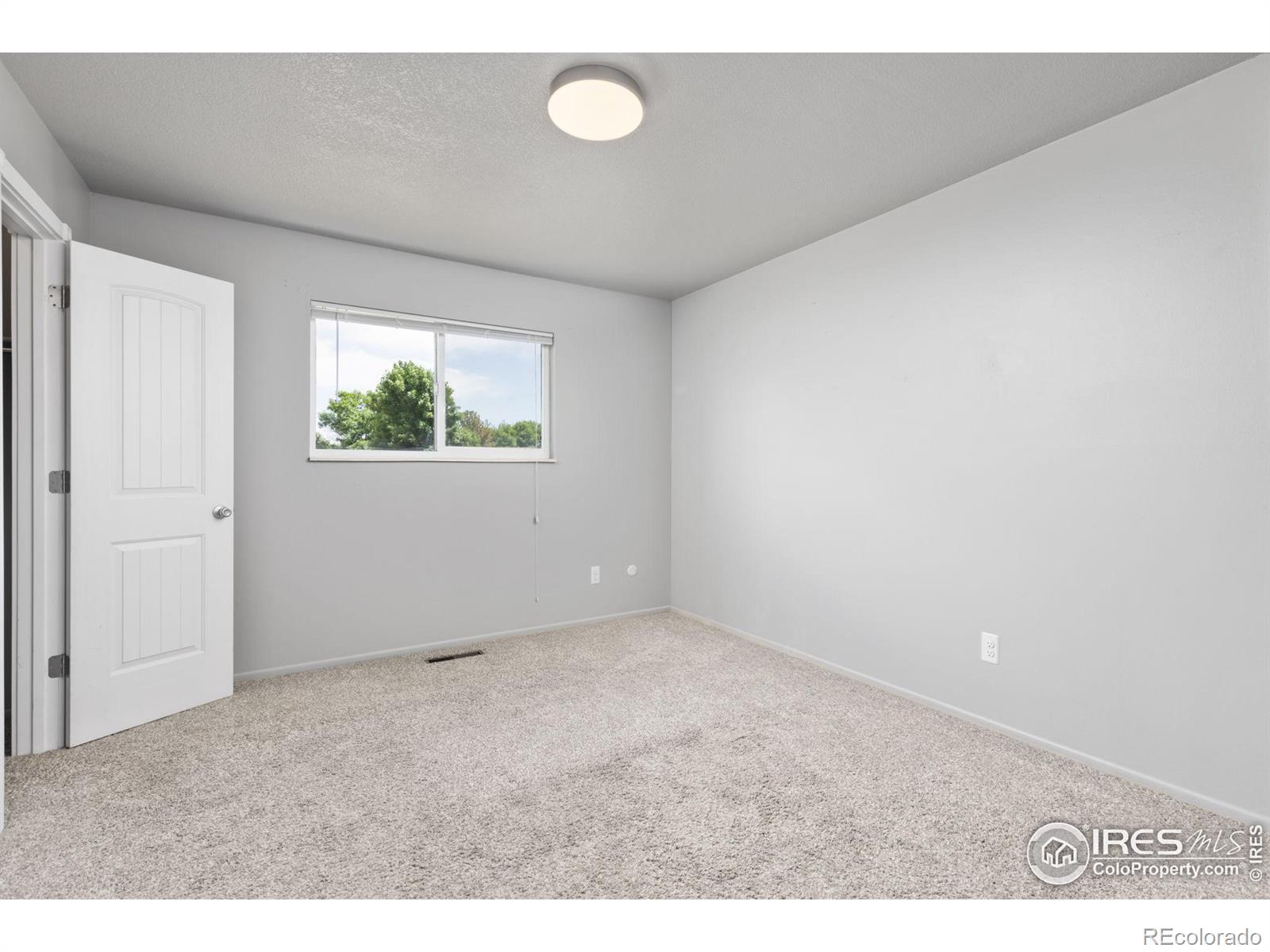 MLS Image #14 for 701  darren court,fort collins, Colorado