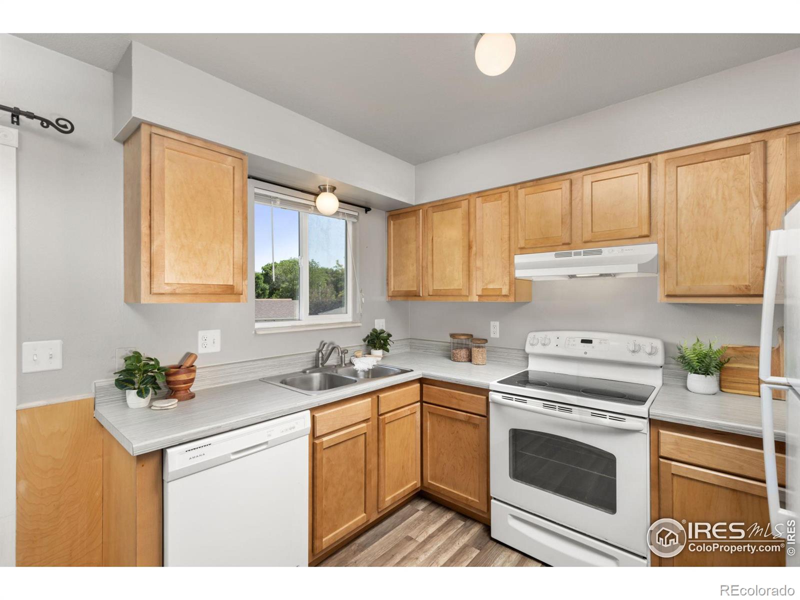 MLS Image #6 for 701  darren court,fort collins, Colorado