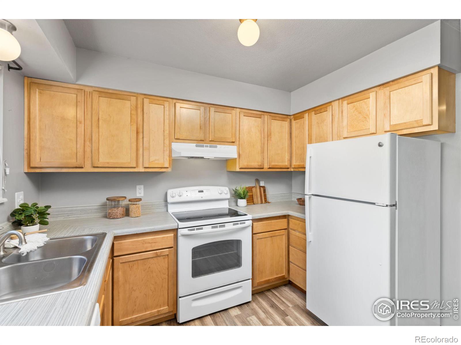 MLS Image #7 for 701  darren court,fort collins, Colorado