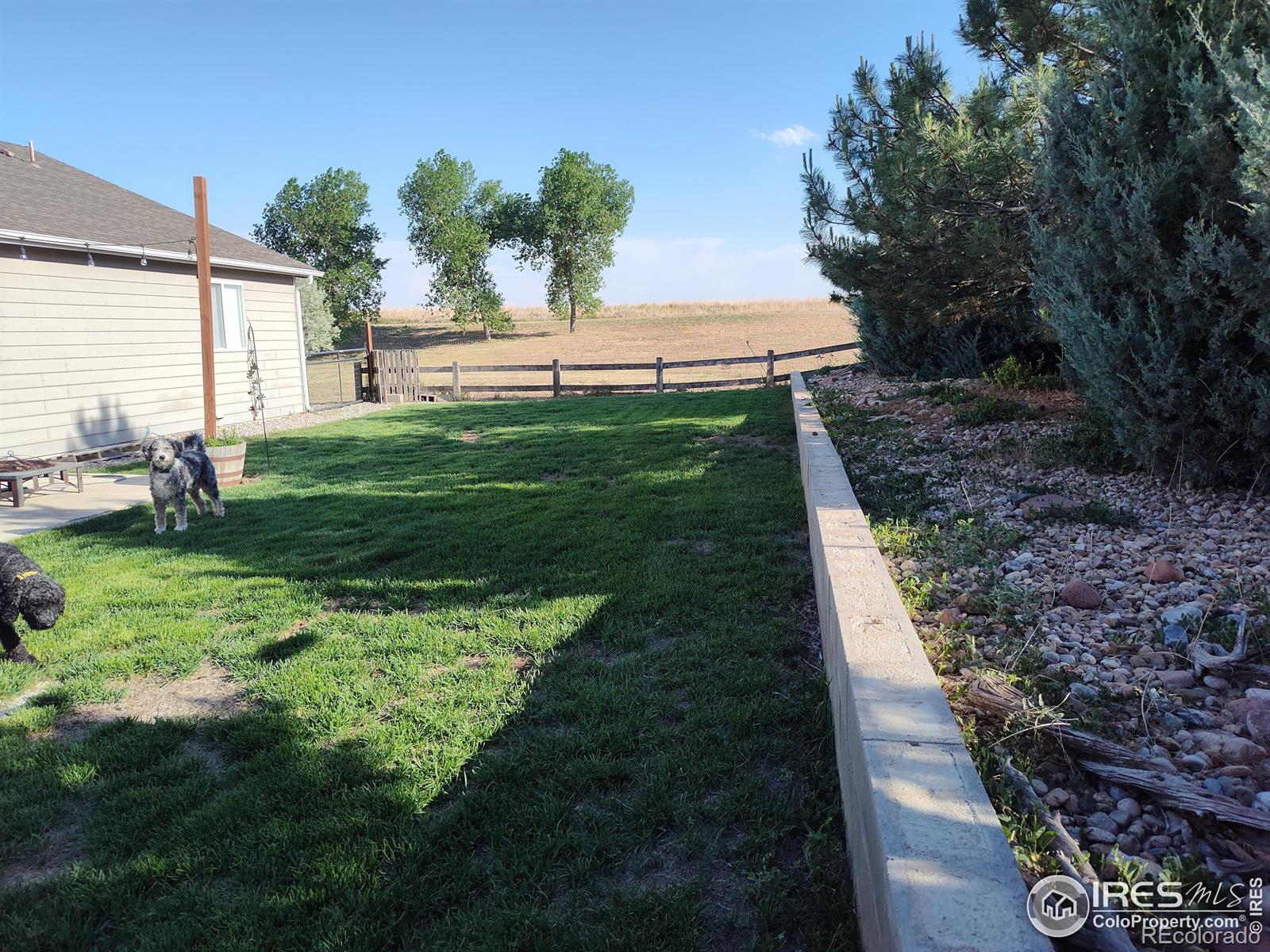 MLS Image #19 for 1573 s harvester drive,milliken, Colorado