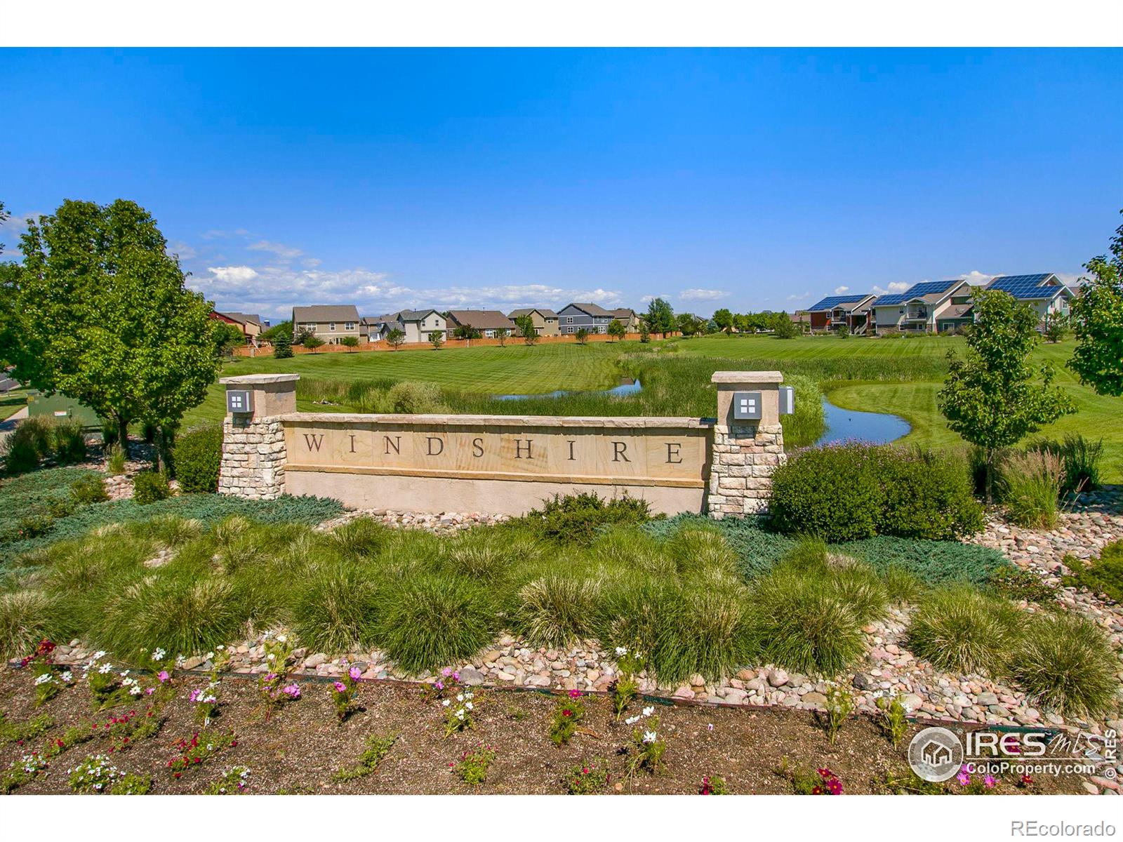 CMA Image for 908  charlton drive,Windsor, Colorado