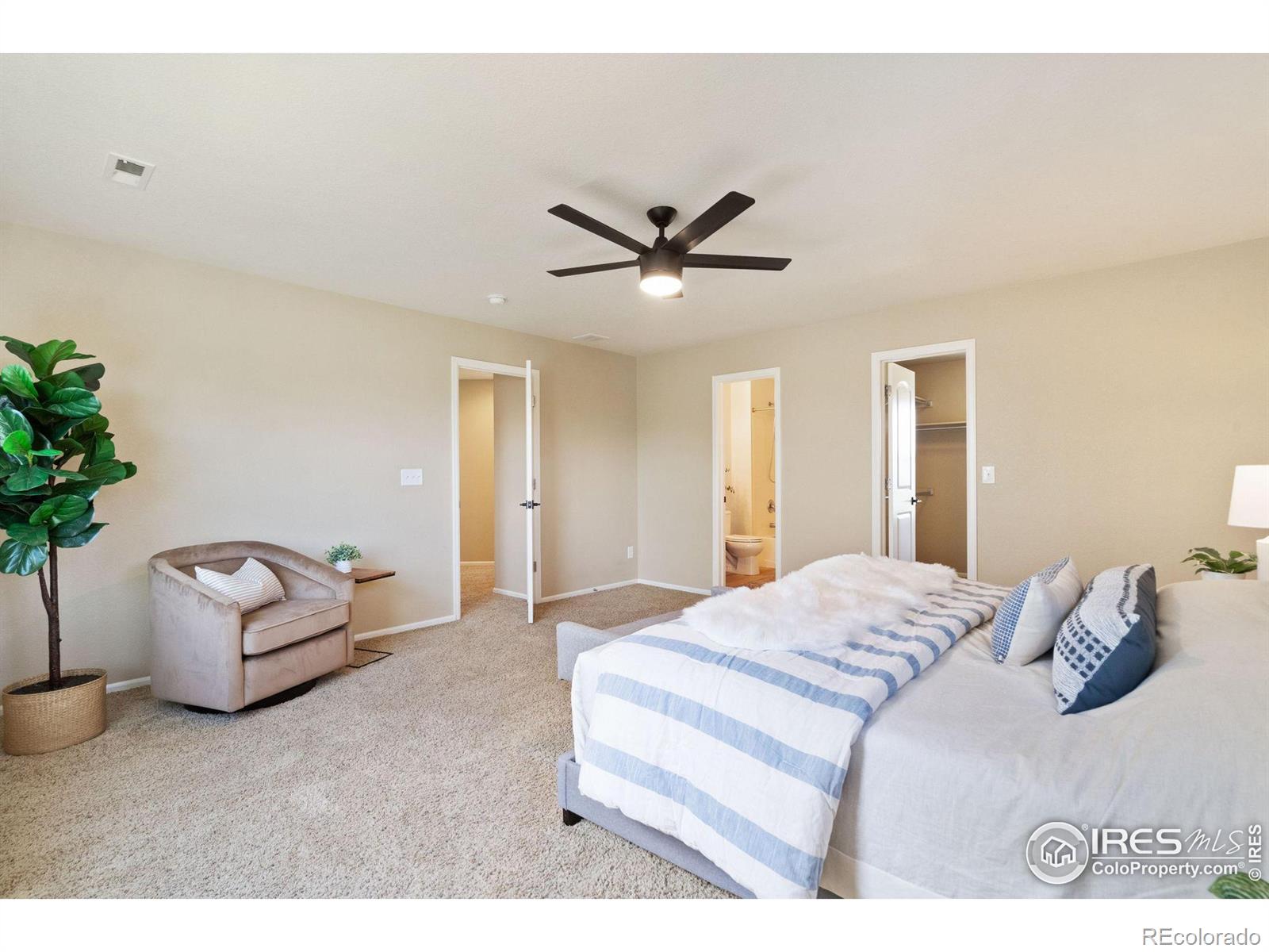 MLS Image #16 for 622  lanley drive,windsor, Colorado