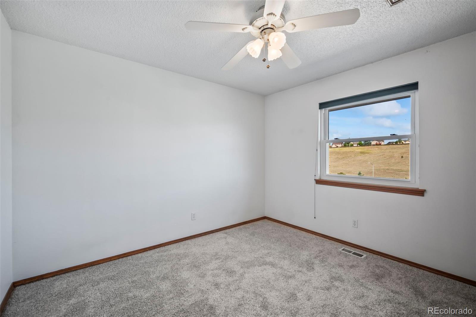 MLS Image #13 for 8116  steadman drive,colorado springs, Colorado