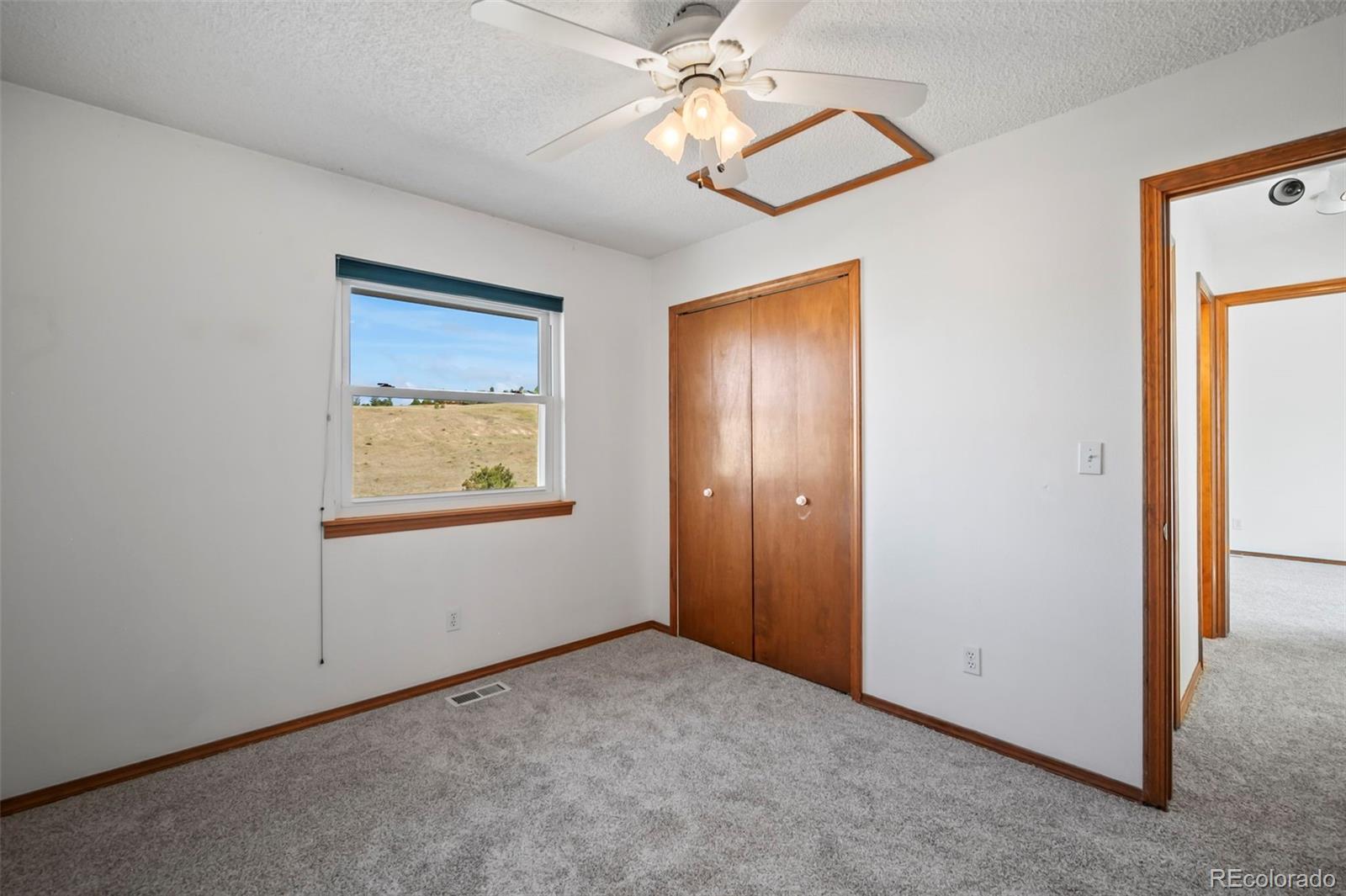 MLS Image #14 for 8116  steadman drive,colorado springs, Colorado