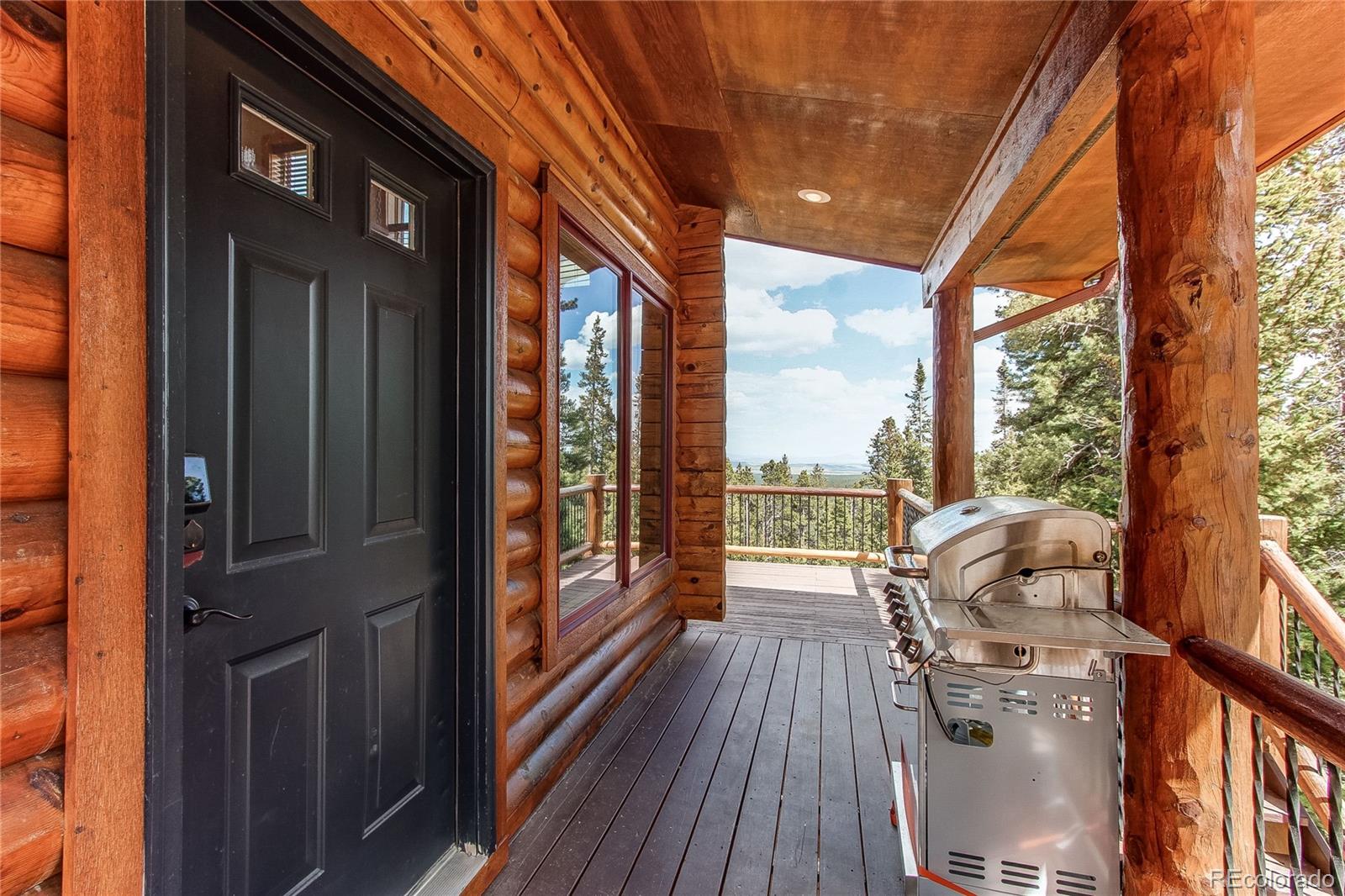 MLS Image #13 for 1428  bobcat lane,fairplay, Colorado