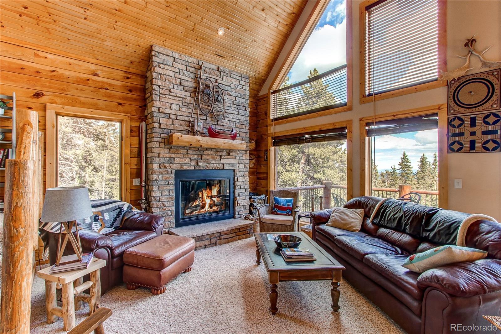 MLS Image #17 for 1428  bobcat lane,fairplay, Colorado