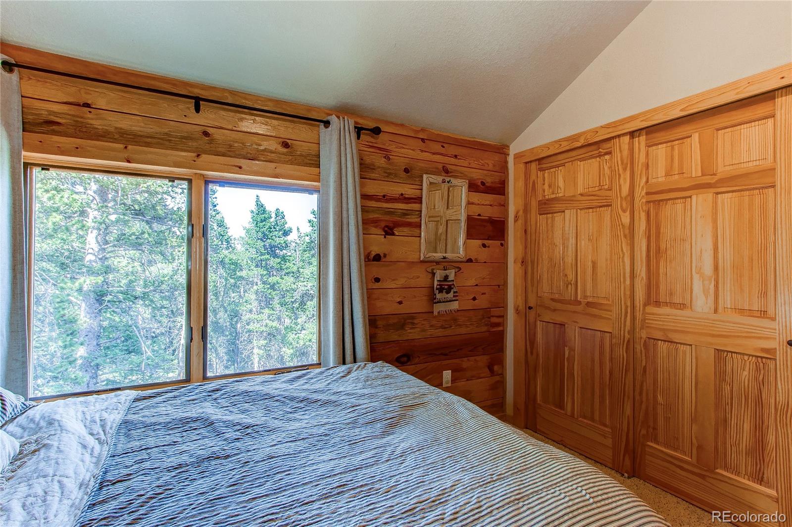 MLS Image #38 for 1428  bobcat lane,fairplay, Colorado