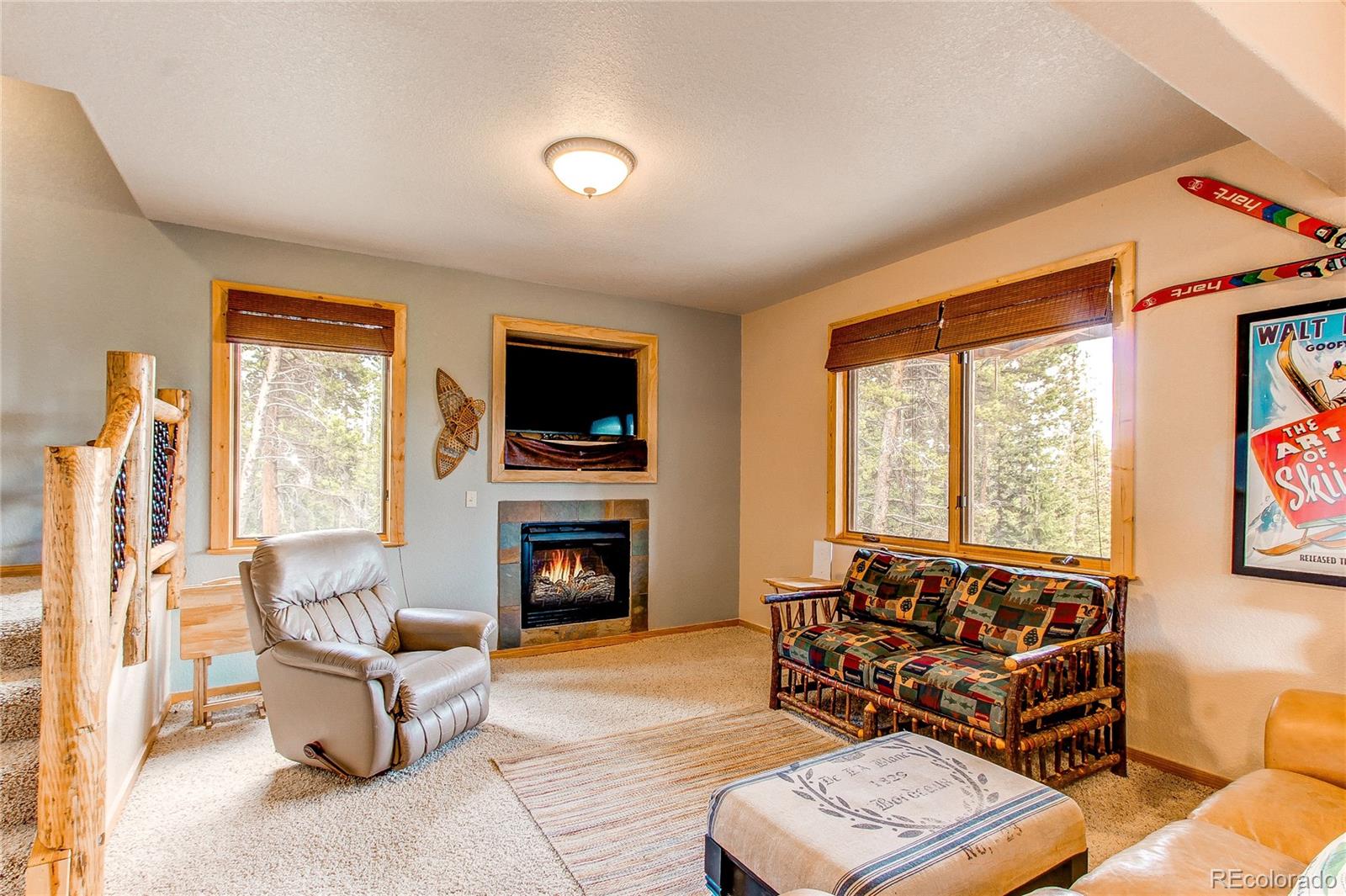 MLS Image #40 for 1428  bobcat lane,fairplay, Colorado